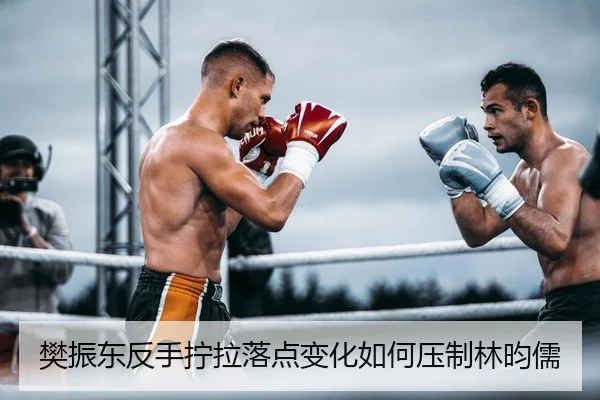 樊振东反手拧拉落点变化如何压制林昀儒